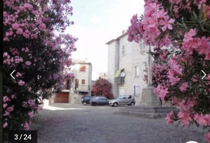 Ruoms Petite Maison 3* Centre-Village Dış mekan fotoğraf